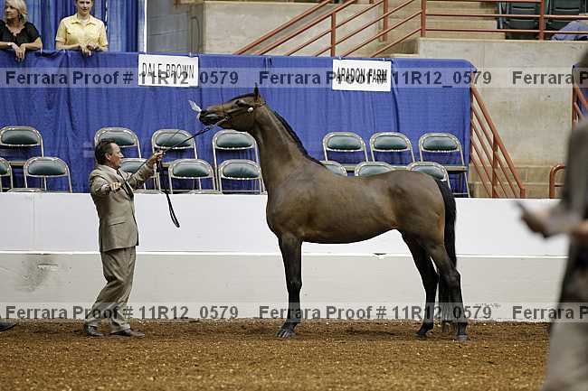 Proof 11r12_0579