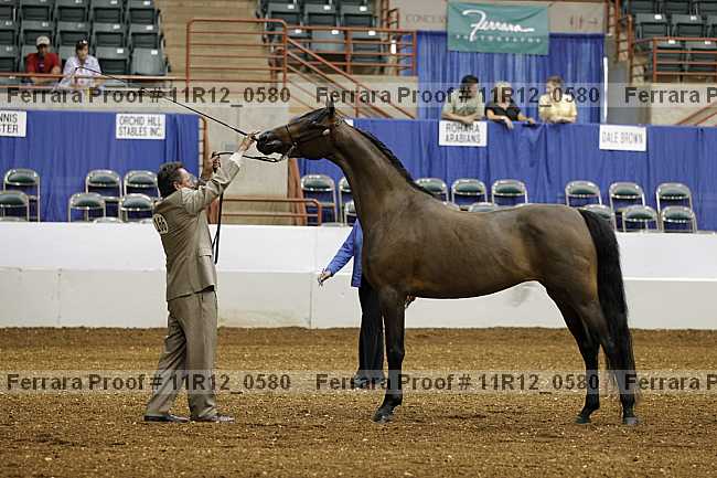 Proof 11r12_0580