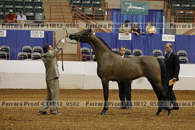 Proof 11r12_0582