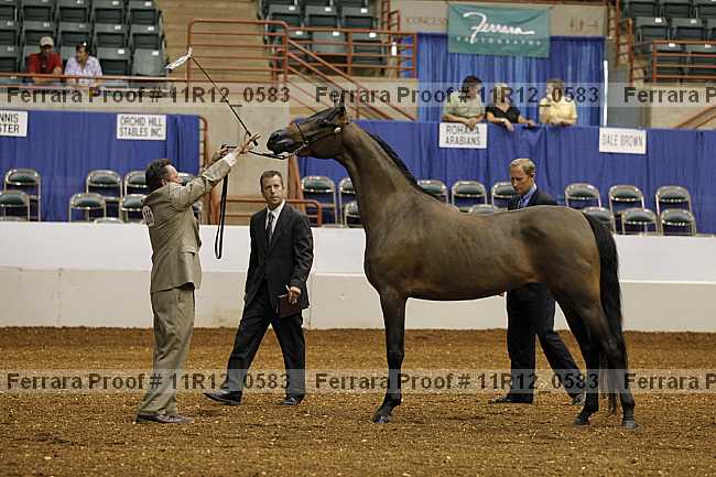 Proof 11r12_0583