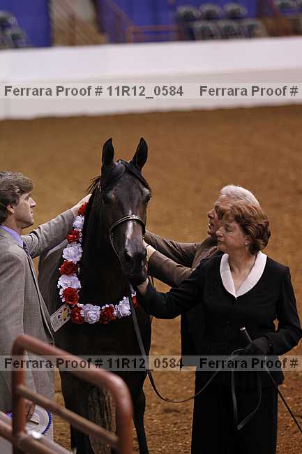 Proof 11r12_0584