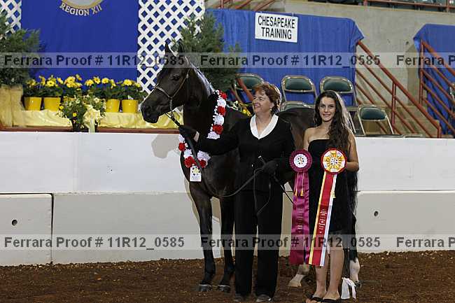 Proof 11r12_0585