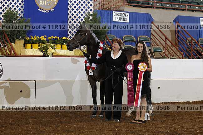 Proof 11r12_0586