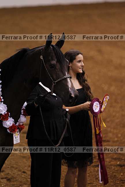 Proof 11r12_0587