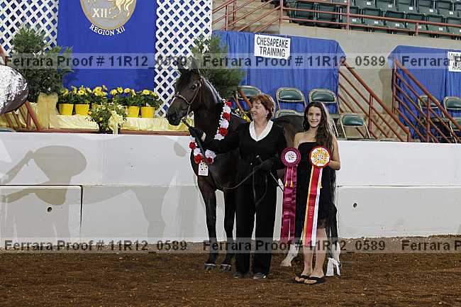 Proof 11r12_0589