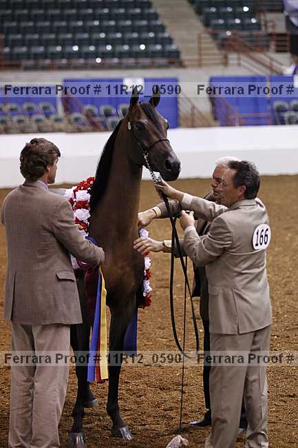 Proof 11r12_0590