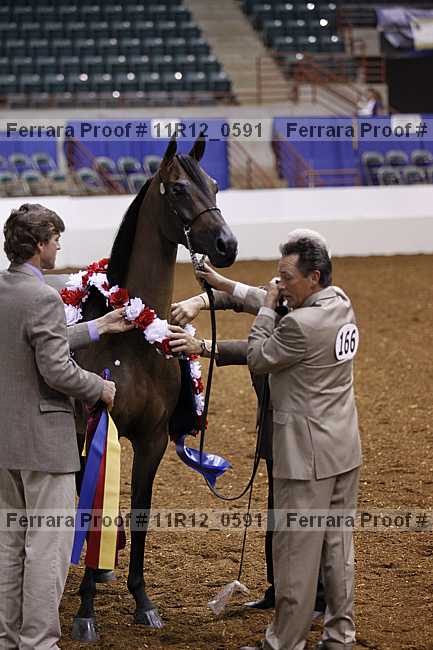 Proof 11r12_0591