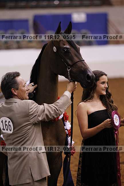 Proof 11r12_0595
