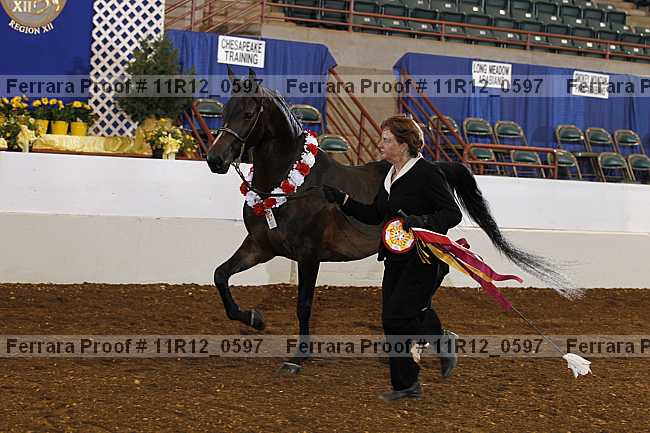 Proof 11r12_0597