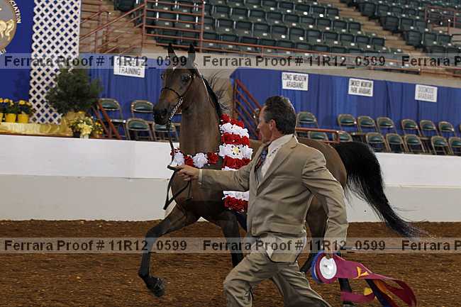 Proof 11r12_0599