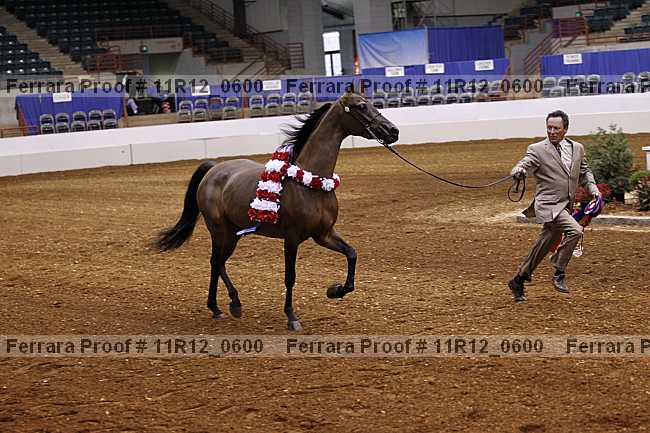 Proof 11r12_0600