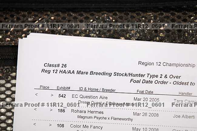 Proof 11r12_0601