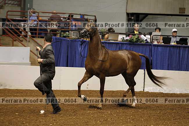 Proof 11r12_0604