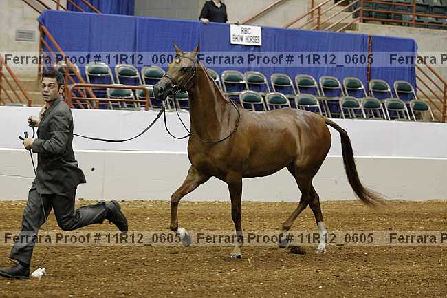 Proof 11r12_0605