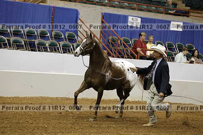 Proof 11r12_0607