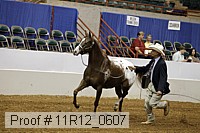 11r12_0607 proof