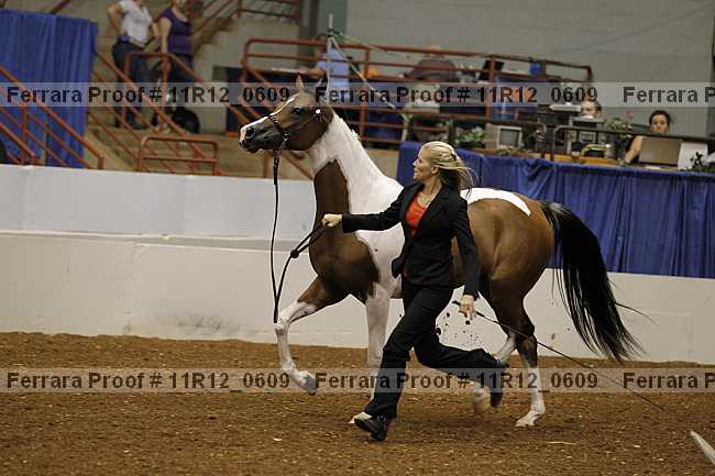 Proof 11r12_0609