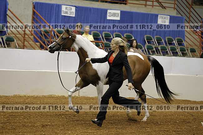 Proof 11r12_0610