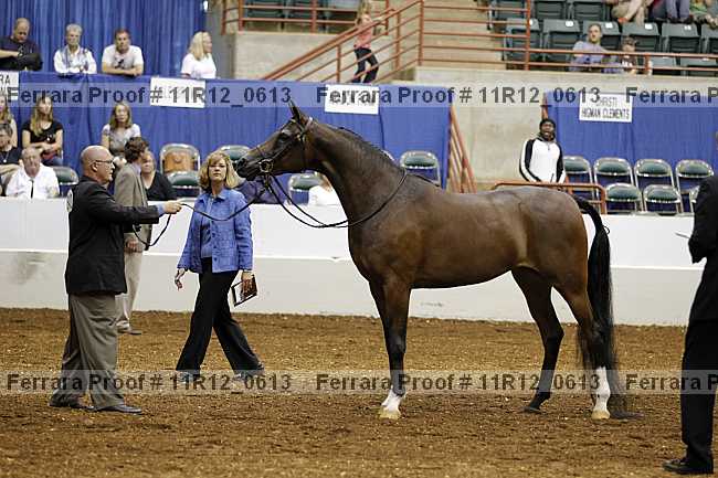Proof 11r12_0613