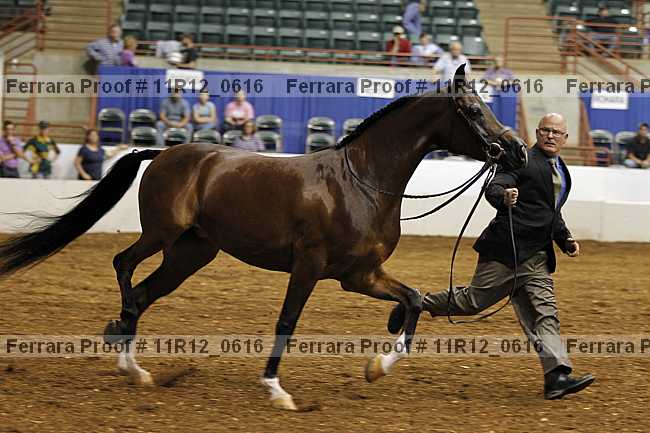 Proof 11r12_0616