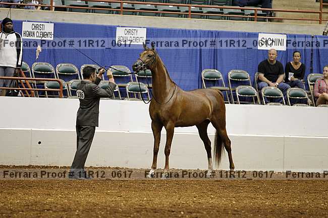 Proof 11r12_0617