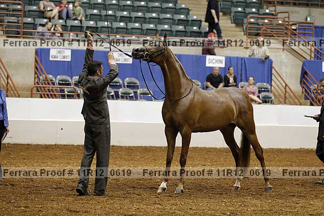 Proof 11r12_0619