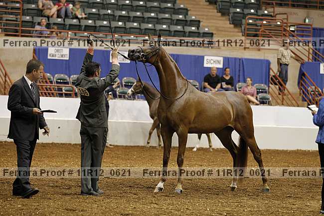 Proof 11r12_0621