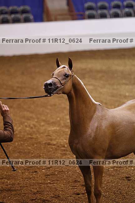 Proof 11r12_0624