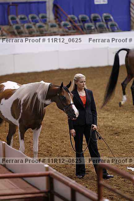 Proof 11r12_0625