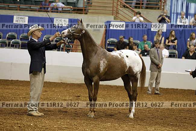 Proof 11r12_0627