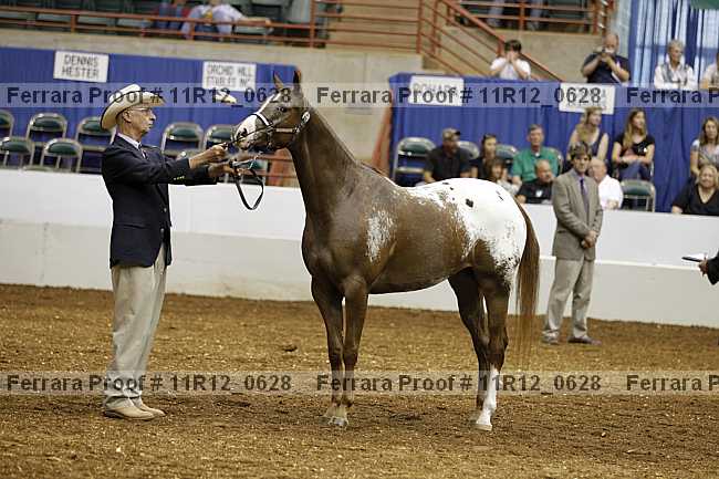 Proof 11r12_0628