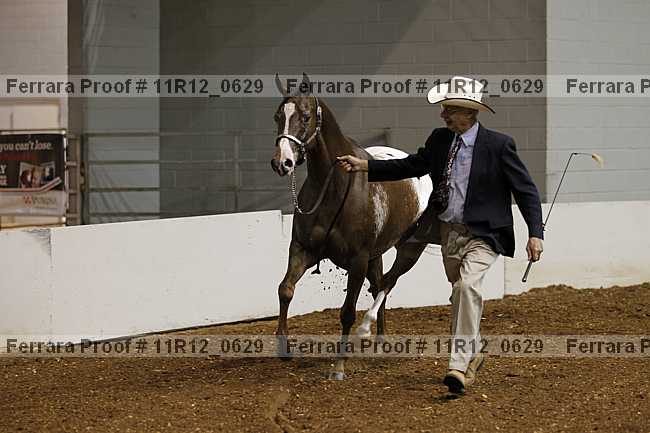 Proof 11r12_0629