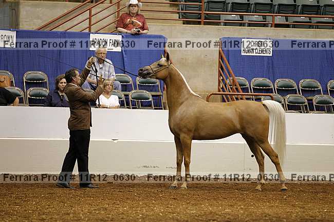Proof 11r12_0630