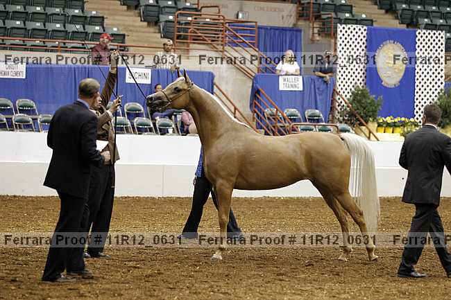 Proof 11r12_0631