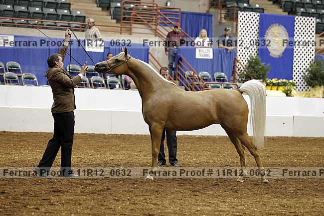 Proof 11r12_0632