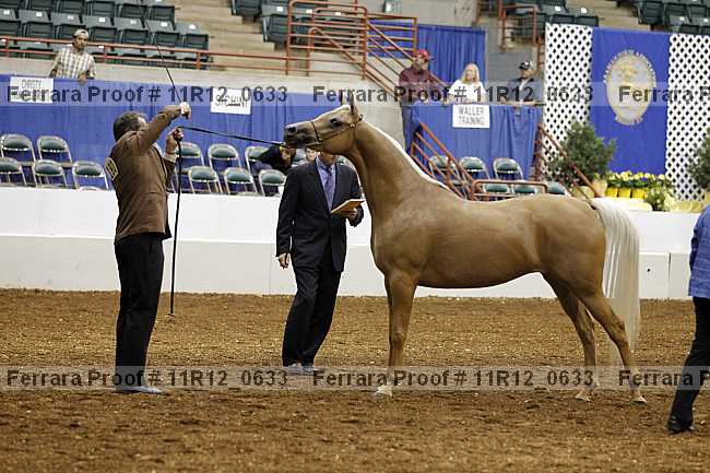 Proof 11r12_0633
