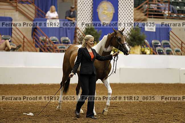 Proof 11r12_0635
