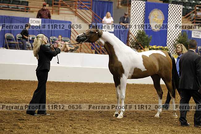 Proof 11r12_0636