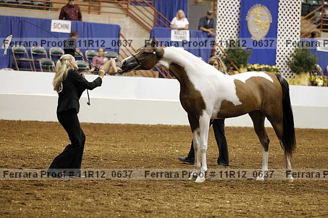 Proof 11r12_0637