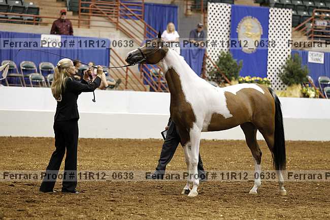 Proof 11r12_0638
