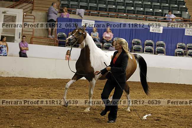 Proof 11r12_0639