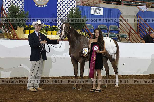 Proof 11r12_0641