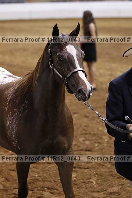 Proof 11r12_0643
