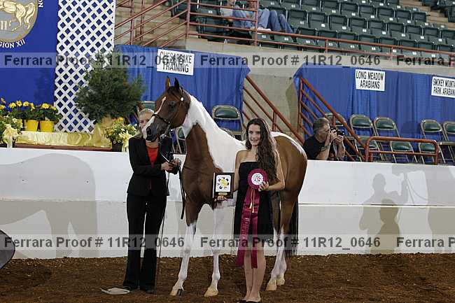 Proof 11r12_0646