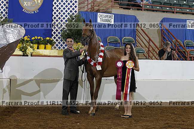 Proof 11r12_0652