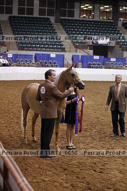 Proof 11r12_0656