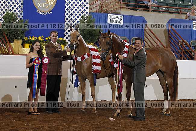 Proof 11r12_0660