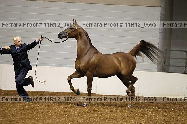 Proof 11r12_0665