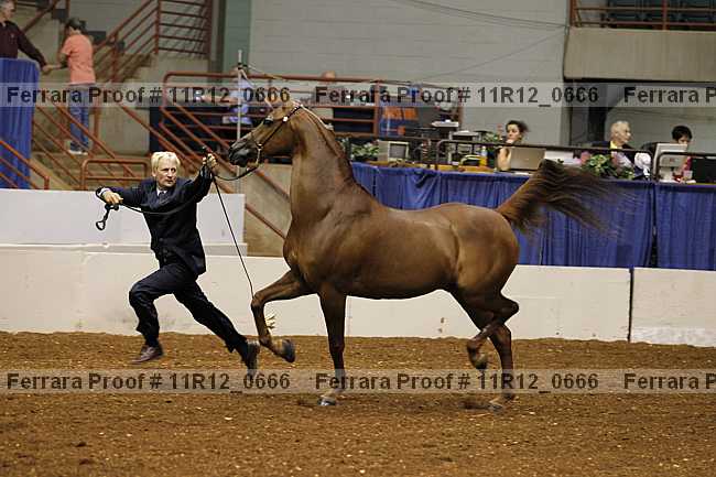 Proof 11r12_0666