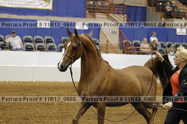Proof 11r12_0668